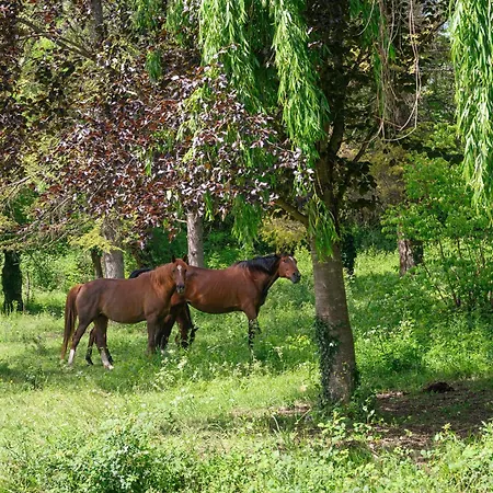 Bed & Breakfast Domaine Du Chemin Royale