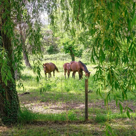 住宿加早餐酒店 Domaine Du Chemin Royale Saint-Germain (Ardeche)